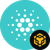 Cardano (BEP20)